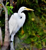 DSC_1835_001.JPG