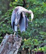 DSC_1854_001.JPG