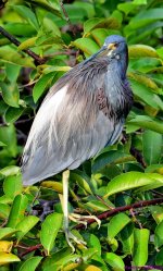 DSC_1860_001.JPG
