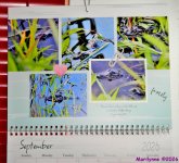 DSCN2935_stitch3_001.JPG