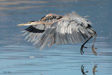 GBHTakeoff-745.jpg