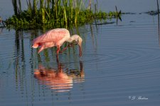 DSC_8161.jpg