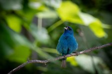 D50_6871-Edit.jpg