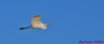 DSC_2160_001.JPG