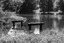 850_1155-Edit.jpg