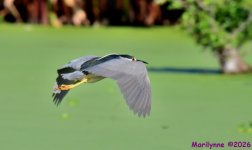 DSC_2314_001.JPG
