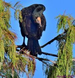 DSC_2445_001.JPG