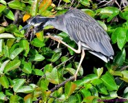 DSC_2477_001.JPG