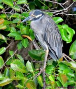 DSC_2508_001.JPG