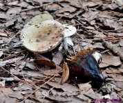 DSC_2537_001.JPG