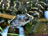 DSC_2557_001.JPG