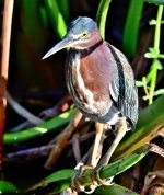 DSC_2623_stitch_001.JPG
