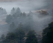 ElkClouds-753.jpg