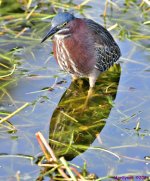 DSC_2953_stitch_001.JPG