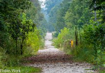 D50_0120-Edit.jpg