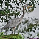 DSC_3108_stitch_001.JPG