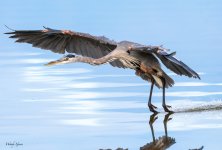 GBHLanding-755.jpg