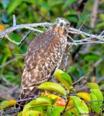 DSC_3273_001.JPG