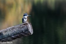 D50_0612-Edit.jpg