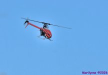 DSC_3388_001.JPG