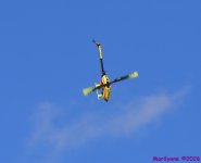 DSC_3418_001.JPG