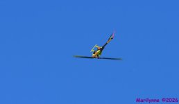 DSC_3428_001.JPG