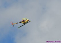 DSC_3445_001.JPG