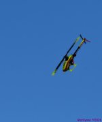 DSC_3463_001.JPG