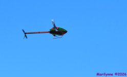 DSC_3566_001.JPG