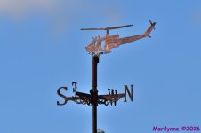 DSC_3550_001.JPG
