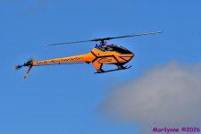 DSC_3621_001.JPG