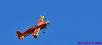 DSC_3694_001.JPG