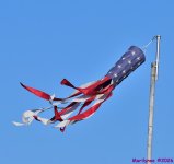 DSC_3820_001.JPG