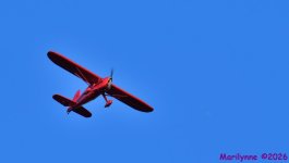 DSC_3841_001.JPG