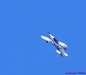 DSC_3876_001.JPG