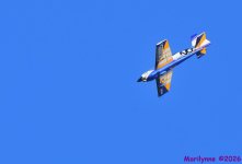 DSC_3880_001.JPG