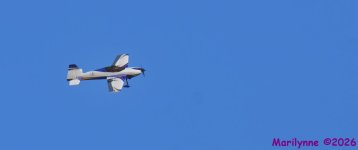 DSC_3895_001.JPG
