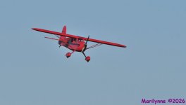 DSC_3899_001.JPG
