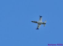 DSC_3917_001.JPG