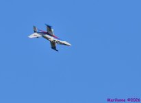 DSC_3922_001.JPG