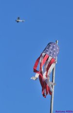 DSC_3958_001.JPG