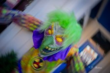 DSC_0779.jpg