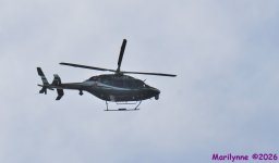 DSC_4179_001.JPG
