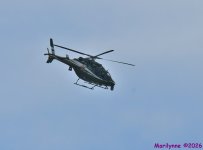 DSC_4186_001.JPG