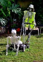 500_3384_001.JPG