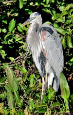 DSC_4339_001.JPG