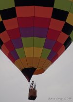 DSC_4279-1-1.jpg