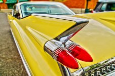 cadi 2.jpg