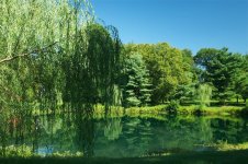 224-pond.jpg