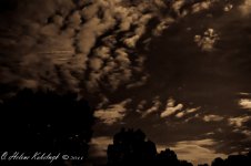 _DSC0370-Edit.jpg